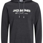 Jack & Jones JJALVIS Hoodie Black