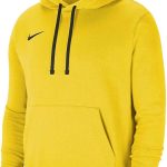Bluza męska Park 20 Hoodie Nike